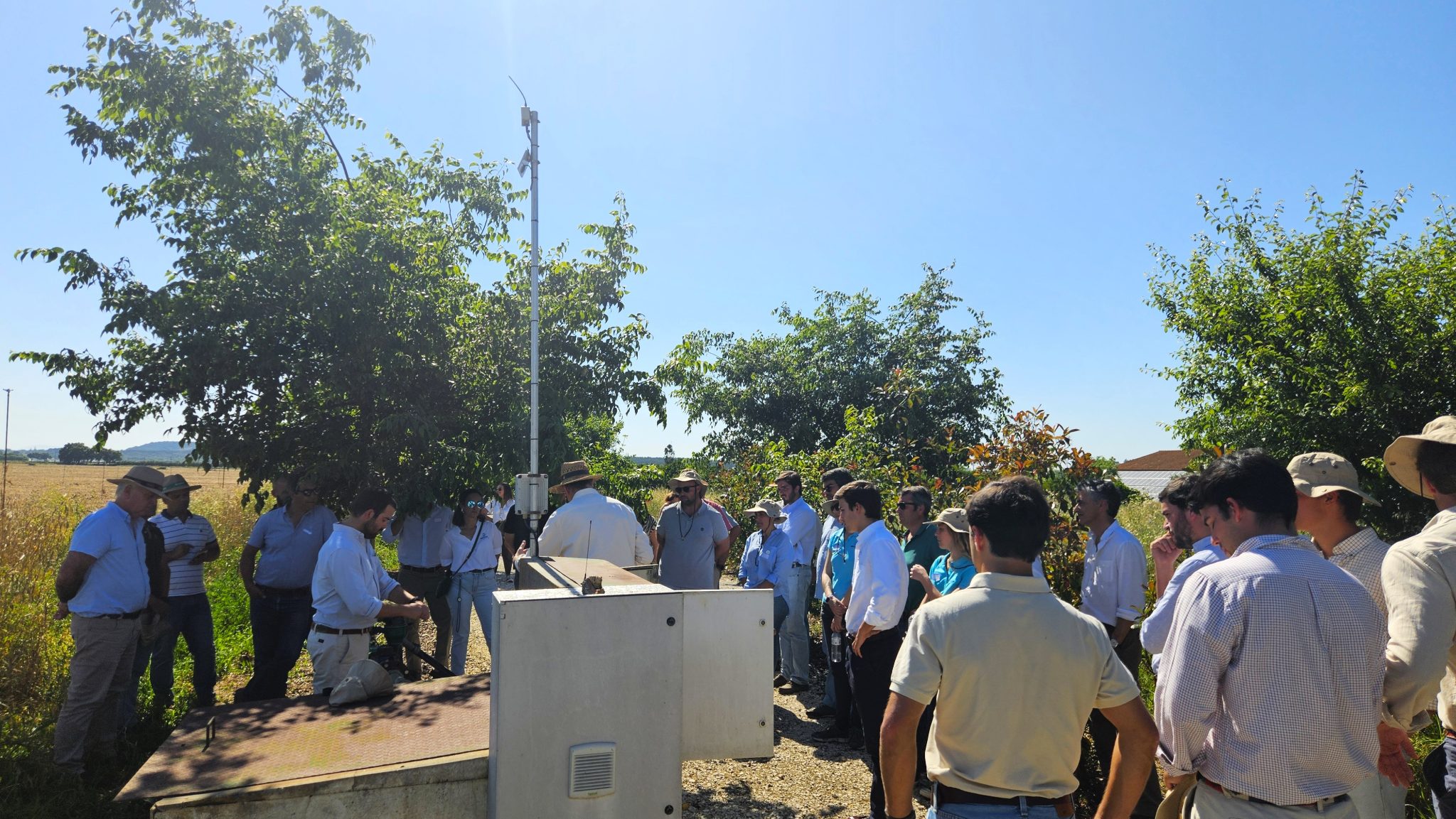 demonstra&ccedil;&atilde;o irrifarm